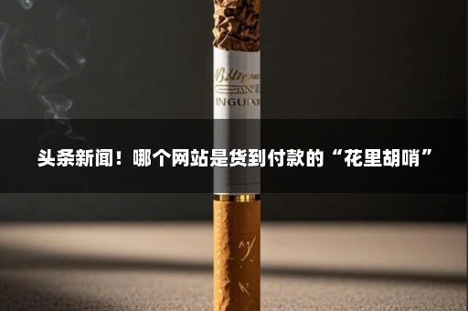 头条新闻！哪个网站是货到付款的“花里胡哨”